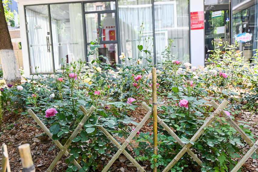 太阳集团城网址娱网