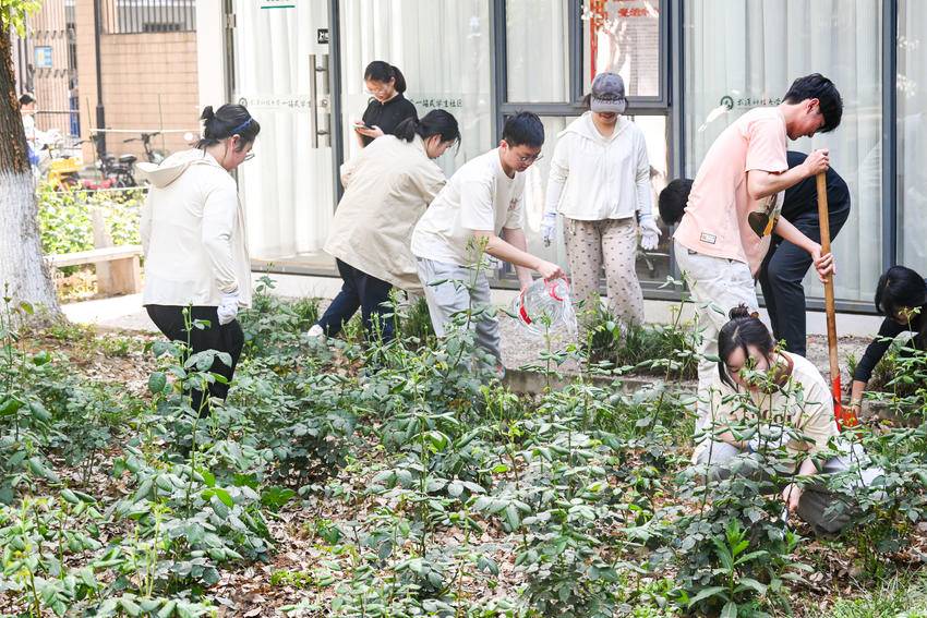 太阳集团城网址娱网